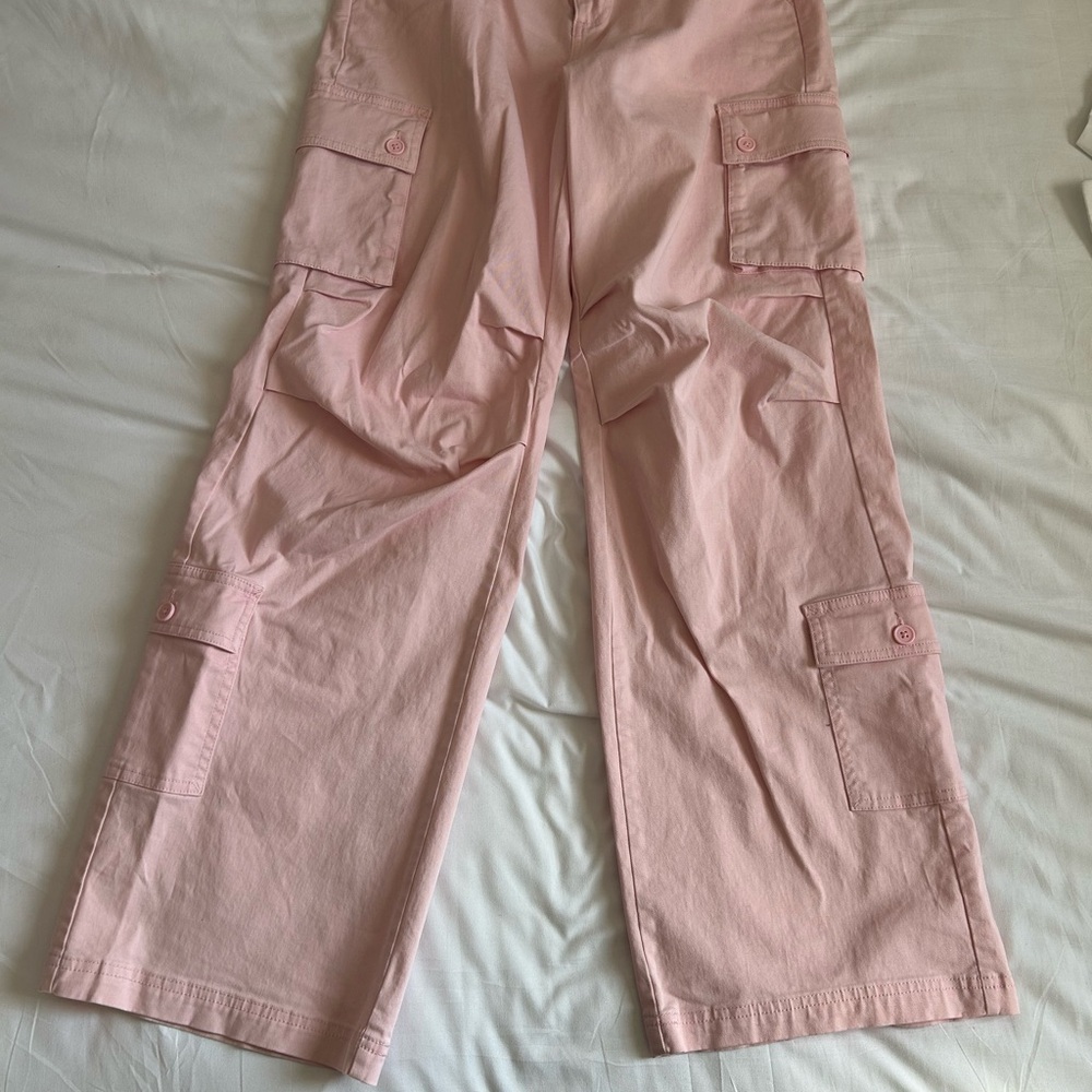 Wild Fable Pink Cargo Pants
